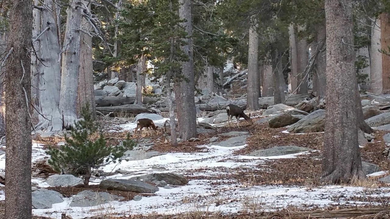 01688b295b673ce219ae15f8a780bfaf12a2af1d3a