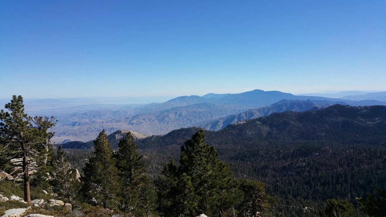 018b9eb84f568876fb19ed0de94431de78b0ea4542