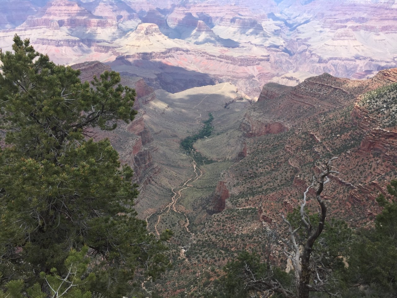 0141cbbcb3dbba72e221b02c06d4b0b961c14ba1dc