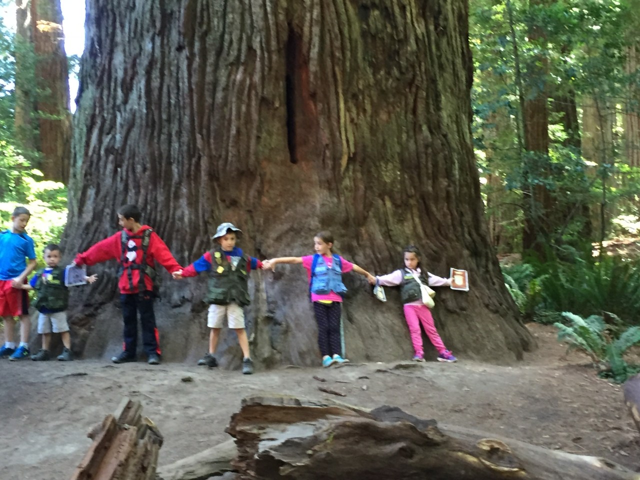 01368a31dcefea3f9a11b40d6d70c90092545f6727