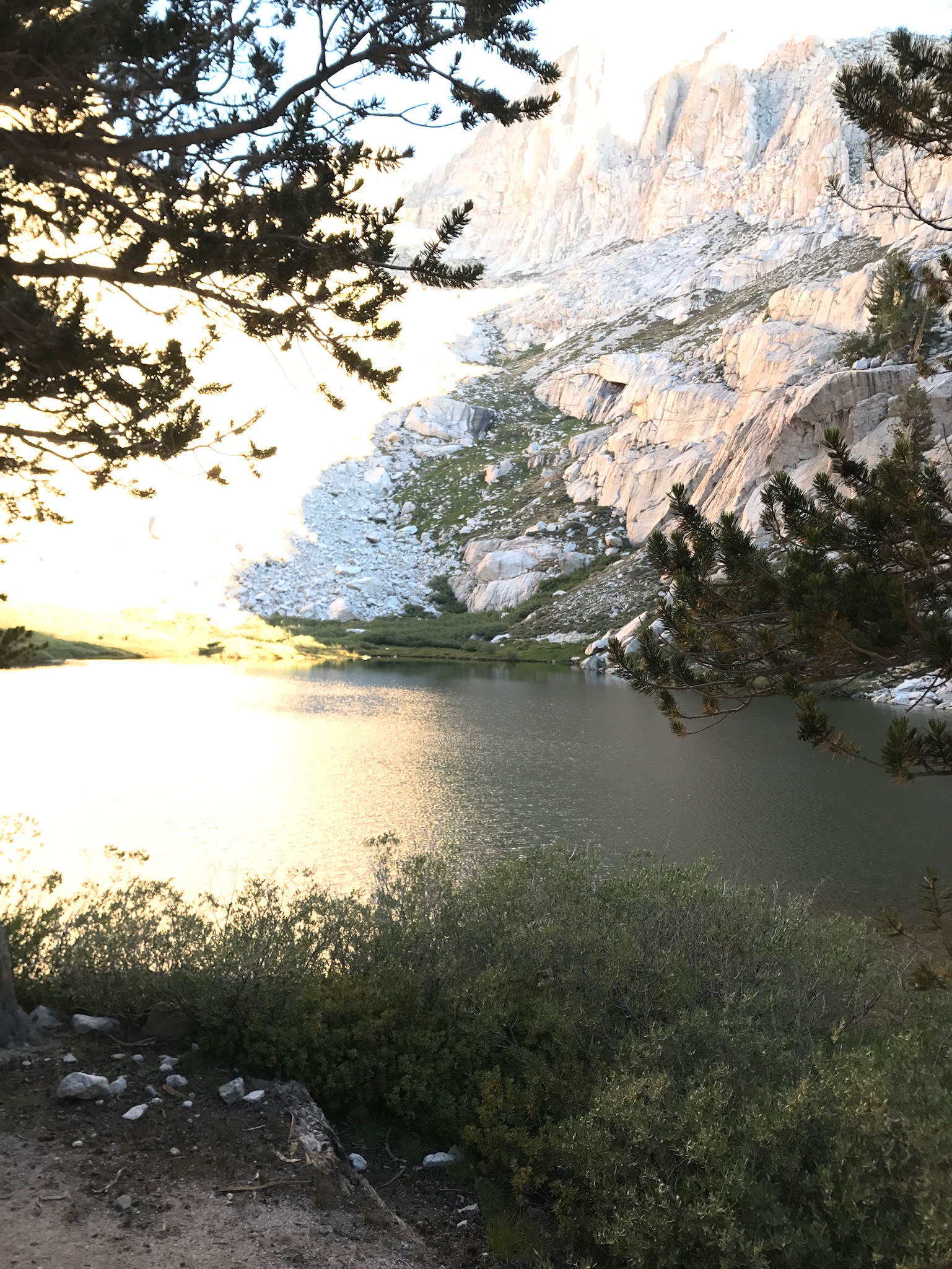 010980f8b470004406e294a005aa2e5373445c420f