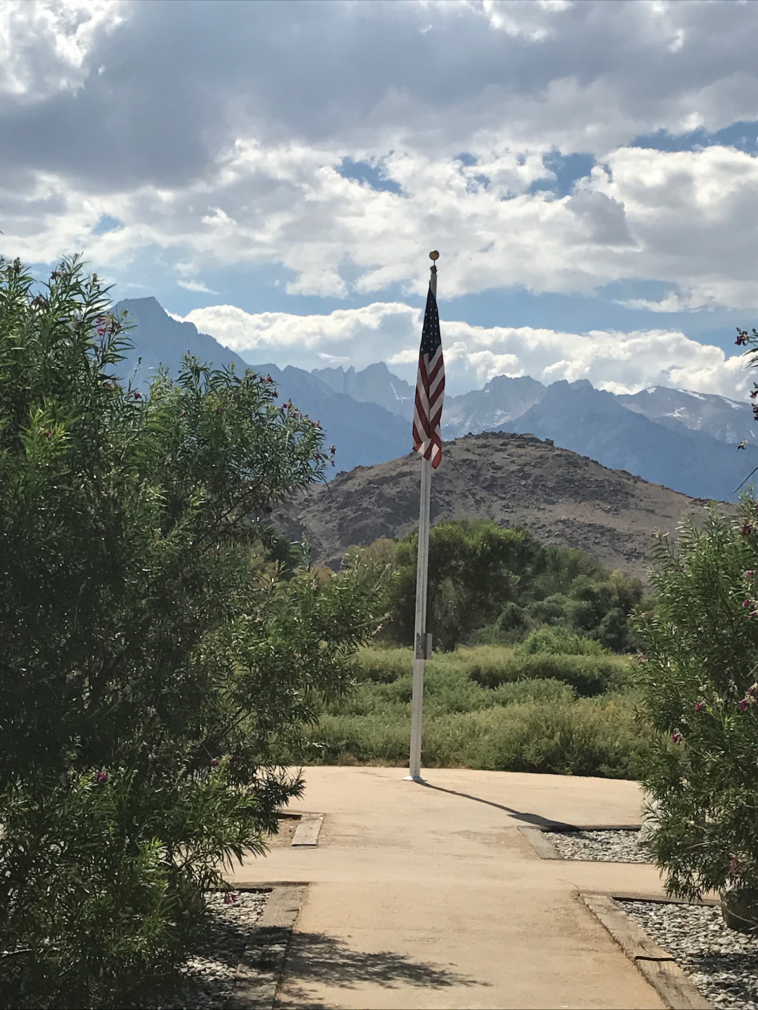 0152cb70120f7bfce6983772eb5082927787da2102