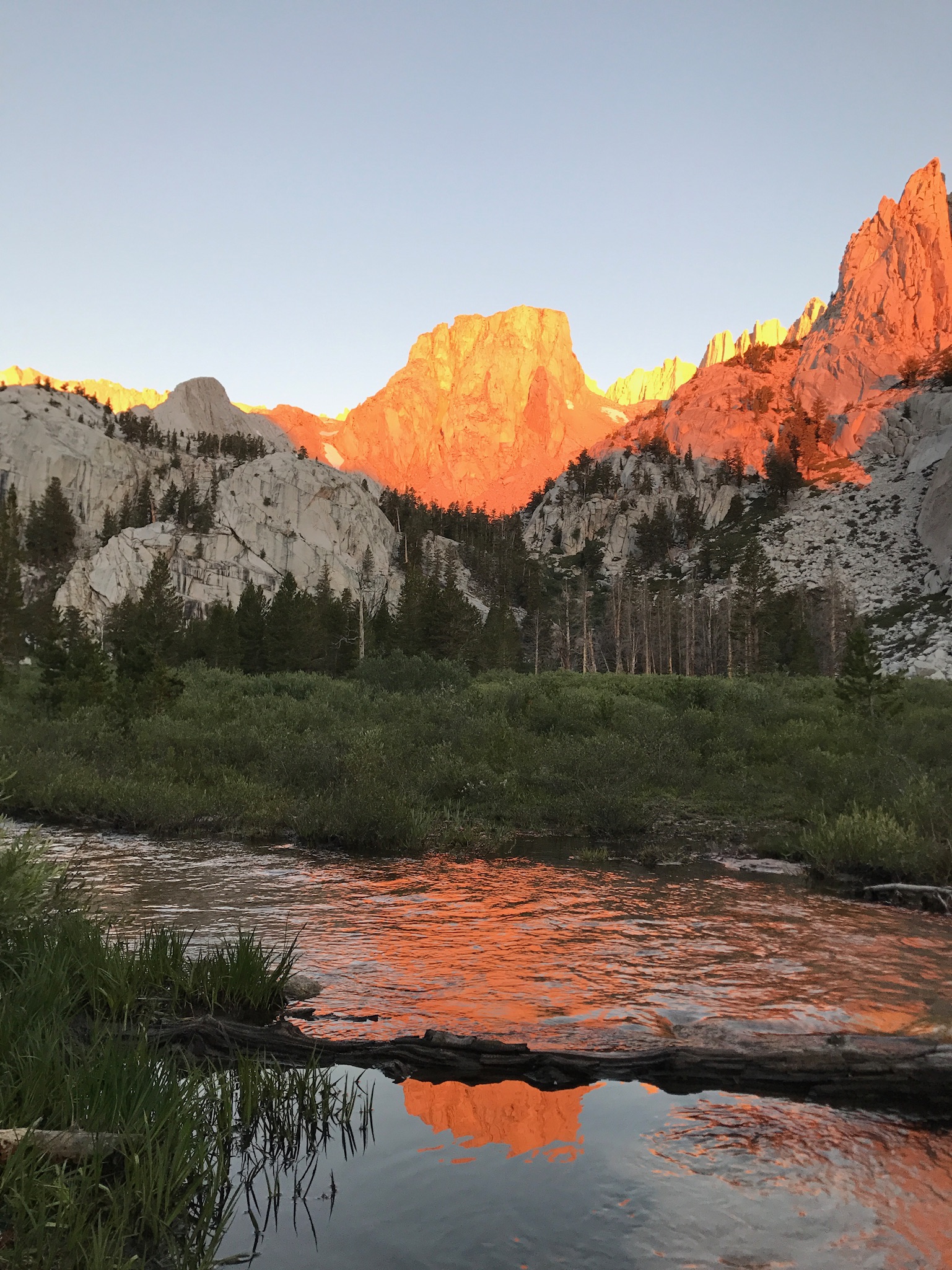 01d3dc12b3a9ea4a9c069078c825fe7101045fa862